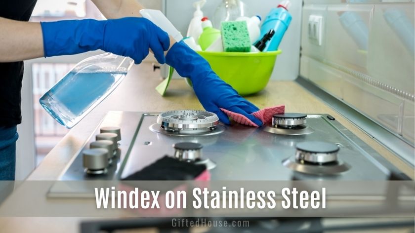 Can You Use Windex on Stainless Steel