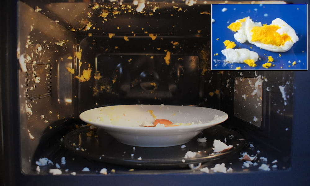 Egg in Microwave Explosion